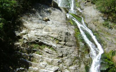 Romania 53